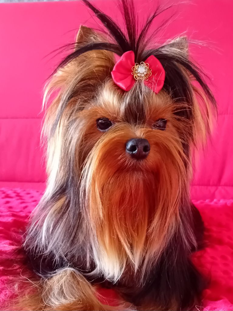 Tina my love