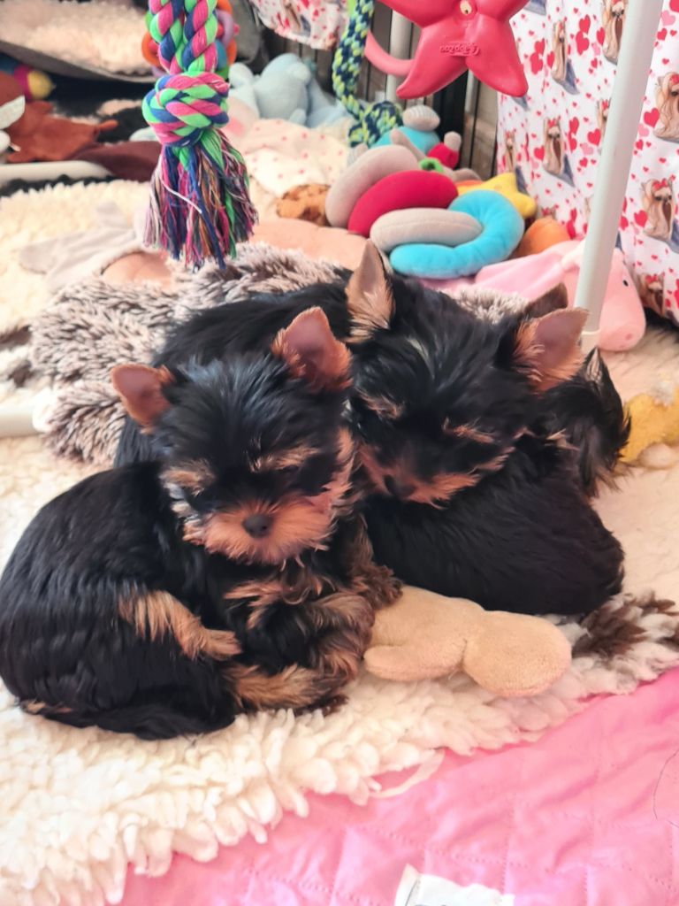 Nos bébés